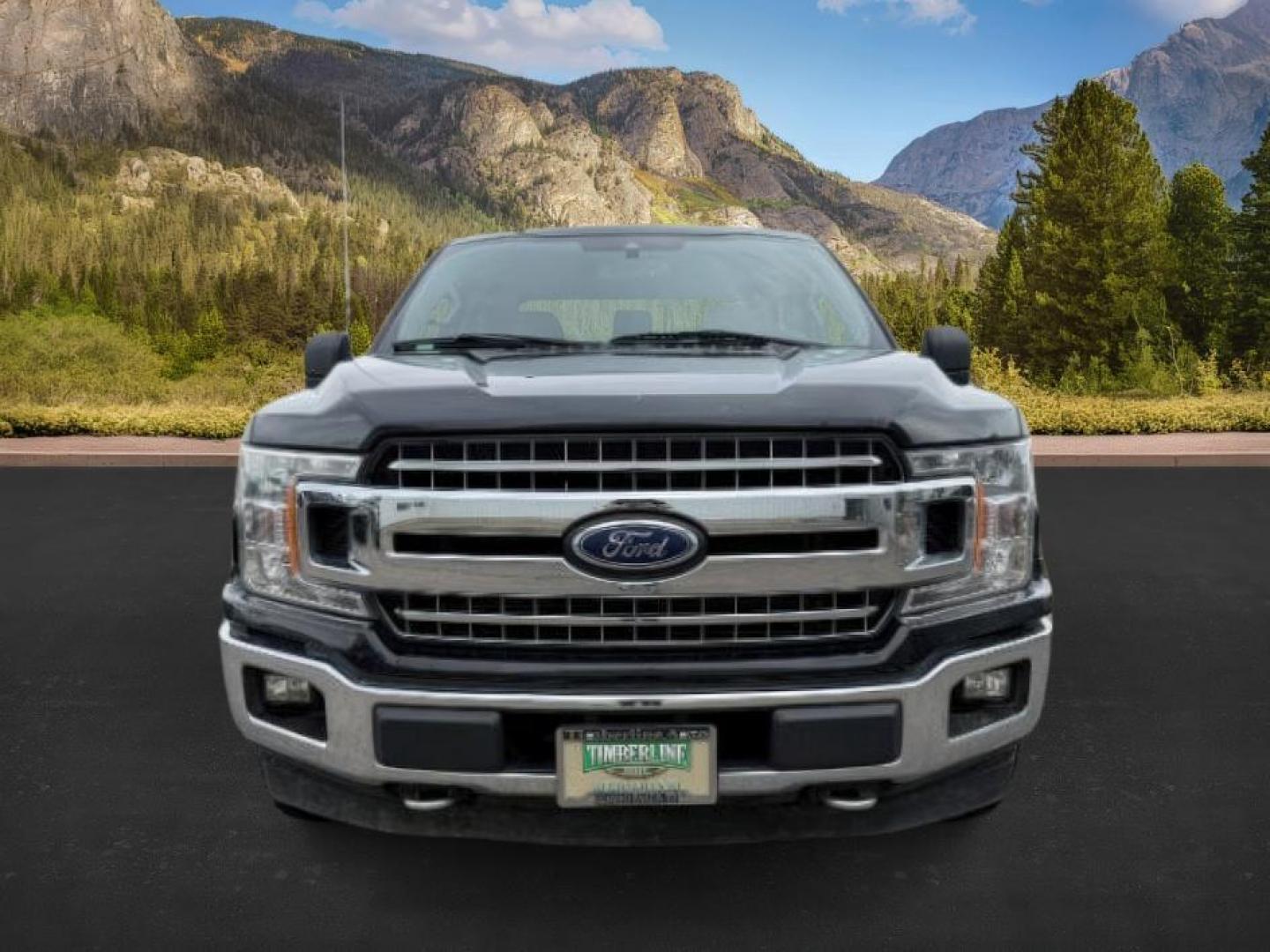 2020 Agate Black Metallic /Medium Earth Gray Ford F-150 (1FTEW1E51LK) with an 5L V-8 portdirect injection engine, Automatic transmission, located at 1175 N Woodruff Ave, Idaho Falls, ID, 83401, 43.506901, -111.999657 - At Timberline Auto, finding a great deal on your next vehicle is always easy! Our experienced sales staff's goal is to help find you the right vehicle at the right price! Our knowledgeable finance department has options for almost any credit score. We offer extended service contract options to prote - Photo#8
