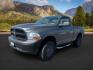 2012 GRAY /CLOTH Ram 1500 ST (3C6JD7AP8CG) with an 5.7 engine, AUTOMATIC transmission, located at 1235 N Woodruff Ave., Idaho Falls, 83401, (208) 523-1053, 43.507172, -112.000488 - At Timberline Auto, finding a great deal on your next vehicle is always easy! Our experienced sales staff's goal is to help find you the right vehicle at the right price! Our knowledgeable finance department has options for almost any credit score. We offer extended service contract options to prote - Photo#0
