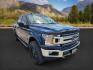 2020 Blue Jeans Metallic /LEATHER Ford F-150 (1FTEW1E44LK) with an EcoBoost 35L V-6 portdirect injection engine, Automatic transmission, located at 1175 N Woodruff Ave, Idaho Falls, ID, 83401, 43.506901, -111.999657 - At Timberline Auto, finding a great deal on your next vehicle is always easy! Our experienced sales staff's goal is to help find you the right vehicle at the right price! Our knowledgeable finance department has options for almost any credit score. We offer extended service contract options to prote - Photo#6