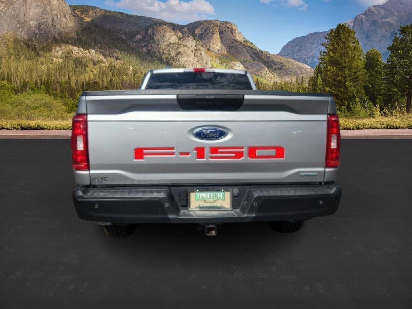 2023 Iconic Silver Metallic /Black Ford F-150 (1FTFW1E82PK) with an 35L V-6 portdirect injection engine, Automatic transmission, located at 1175 N Woodruff Ave, Idaho Falls, ID, 83401, 43.506901, -111.999657 - At Timberline Auto, finding a great deal on your next vehicle is always easy! Our experienced sales staff's goal is to help find you the right vehicle at the right price! Our knowledgeable finance department has options for almost any credit score. We offer extended service contract options to prote - Photo#3