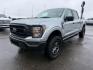 2023 Iconic Silver Metallic /Black Ford F-150 (1FTFW1E82PK) with an 35L V-6 portdirect injection engine, Automatic transmission, located at 1175 N Woodruff Ave, Idaho Falls, ID, 83401, 43.506901, -111.999657 - At Timberline Auto, finding a great deal on your next vehicle is always easy! Our experienced sales staff's goal is to help find you the right vehicle at the right price! Our knowledgeable finance department has options for almost any credit score. We offer extended service contract options to prote - Photo#28