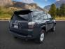 2024 GRAY /Black/Graphite Toyota 4Runner SR5 Premium (JTENU5JR3R6) with an 4L V-6 DOHC engine, AUTOMATIC transmission, located at 1235 N Woodruff Ave., Idaho Falls, 83401, (208) 523-1053, 43.507172, -112.000488 - Photo#7