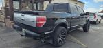 2013 BLACK /BLACK FORD F150 PLATINUM (1FTFW1ET8DF) with an V8 3.5L ECOBOOST engine, AUTOMATIC transmission, located at 1235 N Woodruff Ave., Idaho Falls, 83401, (208) 523-1053, 43.507172, -112.000488 - At Timberline Auto, finding a great deal on your next vehicle is always easy! Our experienced sales staff's goal is to help find you the right vehicle at the right price! Our knowledgeable finance department has options for almost any credit score. We offer extended service contract options to prote - Photo#21