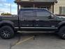 2013 BLACK /BLACK Ford F150 (1FTFW1ET8DF) with an V8 35L ECOBOOST engine, Automatic transmission, located at 1175 N Woodruff Ave, Idaho Falls, ID, 83401, 43.506901, -111.999657 - At Timberline Auto, finding a great deal on your next vehicle is always easy! Our experienced sales staff's goal is to help find you the right vehicle at the right price! Our knowledgeable finance department has options for almost any credit score. We offer extended service contract options to prote - Photo#7