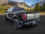 2013 BLACK /BLACK FORD F150 PLATINUM (1FTFW1ET8DF) with an V8 3.5L ECOBOOST engine, AUTOMATIC transmission, located at 1235 N Woodruff Ave., Idaho Falls, 83401, (208) 523-1053, 43.507172, -112.000488 - At Timberline Auto, finding a great deal on your next vehicle is always easy! Our experienced sales staff's goal is to help find you the right vehicle at the right price! Our knowledgeable finance department has options for almost any credit score. We offer extended service contract options to prote - Photo#1