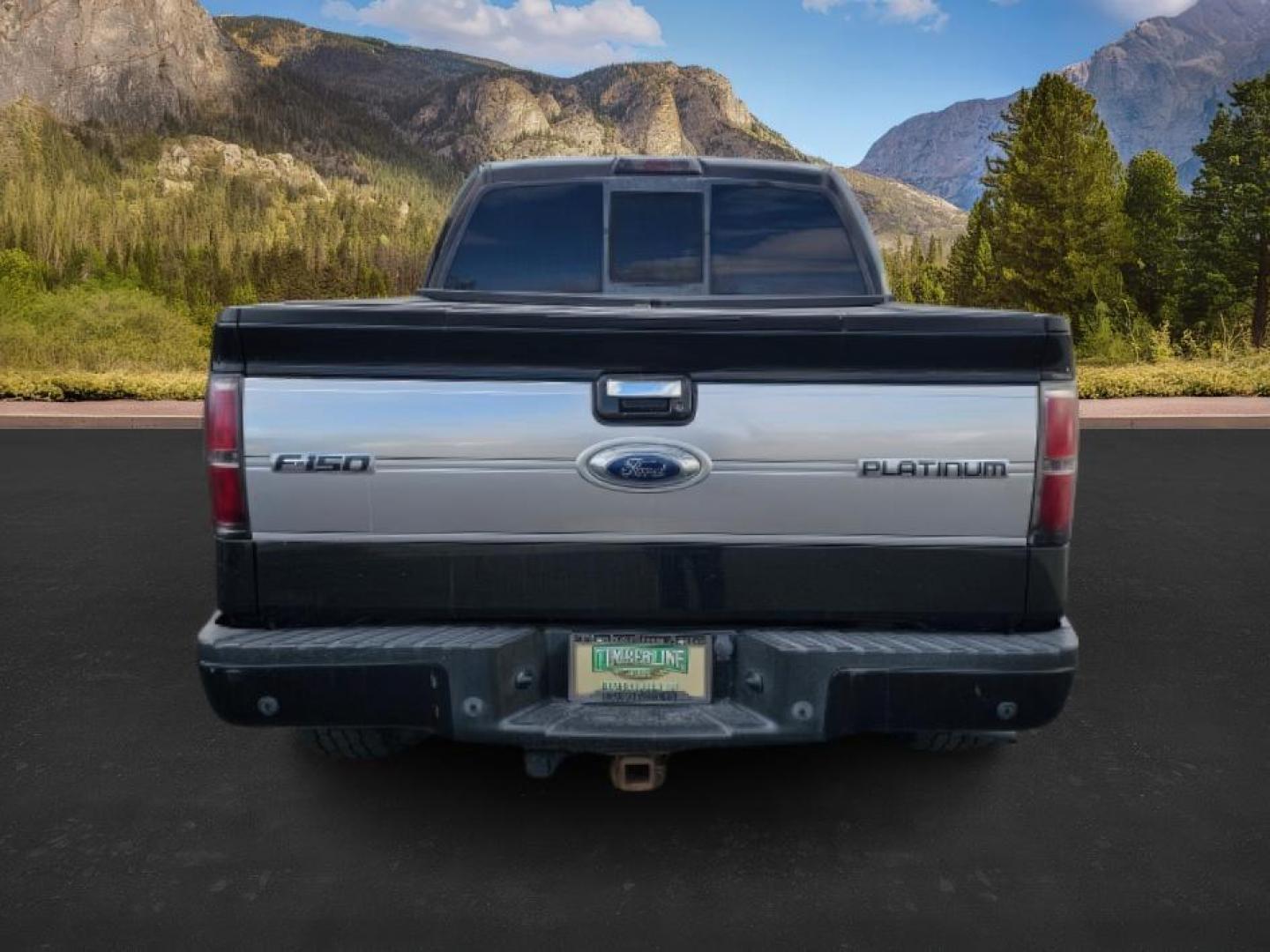 2013 BLACK /BLACK FORD F150 PLATINUM (1FTFW1ET8DF) with an V8 3.5L ECOBOOST engine, AUTOMATIC transmission, located at 1235 N Woodruff Ave., Idaho Falls, 83401, (208) 523-1053, 43.507172, -112.000488 - At Timberline Auto, finding a great deal on your next vehicle is always easy! Our experienced sales staff's goal is to help find you the right vehicle at the right price! Our knowledgeable finance department has options for almost any credit score. We offer extended service contract options to prote - Photo#2