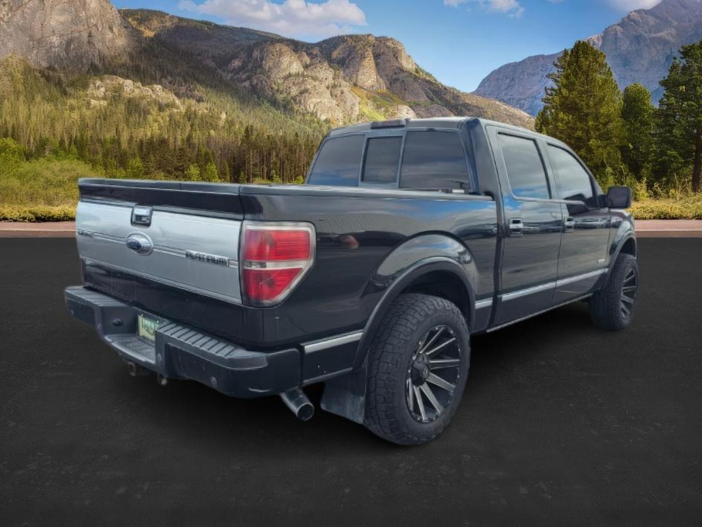 2013 BLACK /BLACK FORD F150 PLATINUM (1FTFW1ET8DF) with an V8 3.5L ECOBOOST engine, AUTOMATIC transmission, located at 1235 N Woodruff Ave., Idaho Falls, 83401, (208) 523-1053, 43.507172, -112.000488 - At Timberline Auto, finding a great deal on your next vehicle is always easy! Our experienced sales staff's goal is to help find you the right vehicle at the right price! Our knowledgeable finance department has options for almost any credit score. We offer extended service contract options to prote - Photo#3