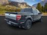 2013 BLACK /BLACK FORD F150 PLATINUM (1FTFW1ET8DF) with an V8 3.5L ECOBOOST engine, AUTOMATIC transmission, located at 1235 N Woodruff Ave., Idaho Falls, 83401, (208) 523-1053, 43.507172, -112.000488 - At Timberline Auto, finding a great deal on your next vehicle is always easy! Our experienced sales staff's goal is to help find you the right vehicle at the right price! Our knowledgeable finance department has options for almost any credit score. We offer extended service contract options to prote - Photo#3