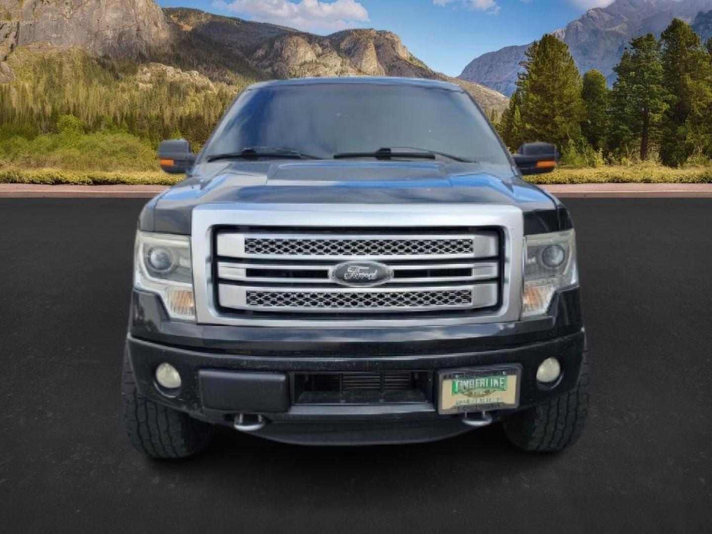 2013 BLACK /BLACK FORD F150 PLATINUM (1FTFW1ET8DF) with an V8 3.5L ECOBOOST engine, AUTOMATIC transmission, located at 1235 N Woodruff Ave., Idaho Falls, 83401, (208) 523-1053, 43.507172, -112.000488 - At Timberline Auto, finding a great deal on your next vehicle is always easy! Our experienced sales staff's goal is to help find you the right vehicle at the right price! Our knowledgeable finance department has options for almost any credit score. We offer extended service contract options to prote - Photo#4