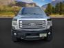 2013 BLACK /BLACK FORD F150 PLATINUM (1FTFW1ET8DF) with an V8 3.5L ECOBOOST engine, AUTOMATIC transmission, located at 1235 N Woodruff Ave., Idaho Falls, 83401, (208) 523-1053, 43.507172, -112.000488 - At Timberline Auto, finding a great deal on your next vehicle is always easy! Our experienced sales staff's goal is to help find you the right vehicle at the right price! Our knowledgeable finance department has options for almost any credit score. We offer extended service contract options to prote - Photo#4
