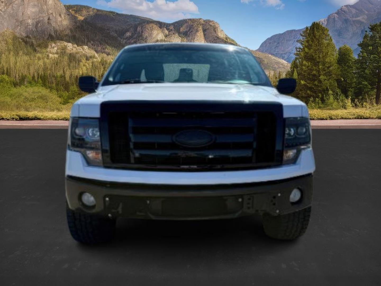 2011 Oxford White /Steel Grey Ford F-150 (1FTFX1EF7BF) with an 5L V-8 DOHC engine, Automatic transmission, located at 1175 N Woodruff Ave, Idaho Falls, ID, 83401, 43.506901, -111.999657 - At Timberline Auto, finding a great deal on your next vehicle is always easy! Our experienced sales staff's goal is to help find you the right vehicle at the right price! Our knowledgeable finance department has options for almost any credit score. We offer extended service contract options to prote - Photo#7