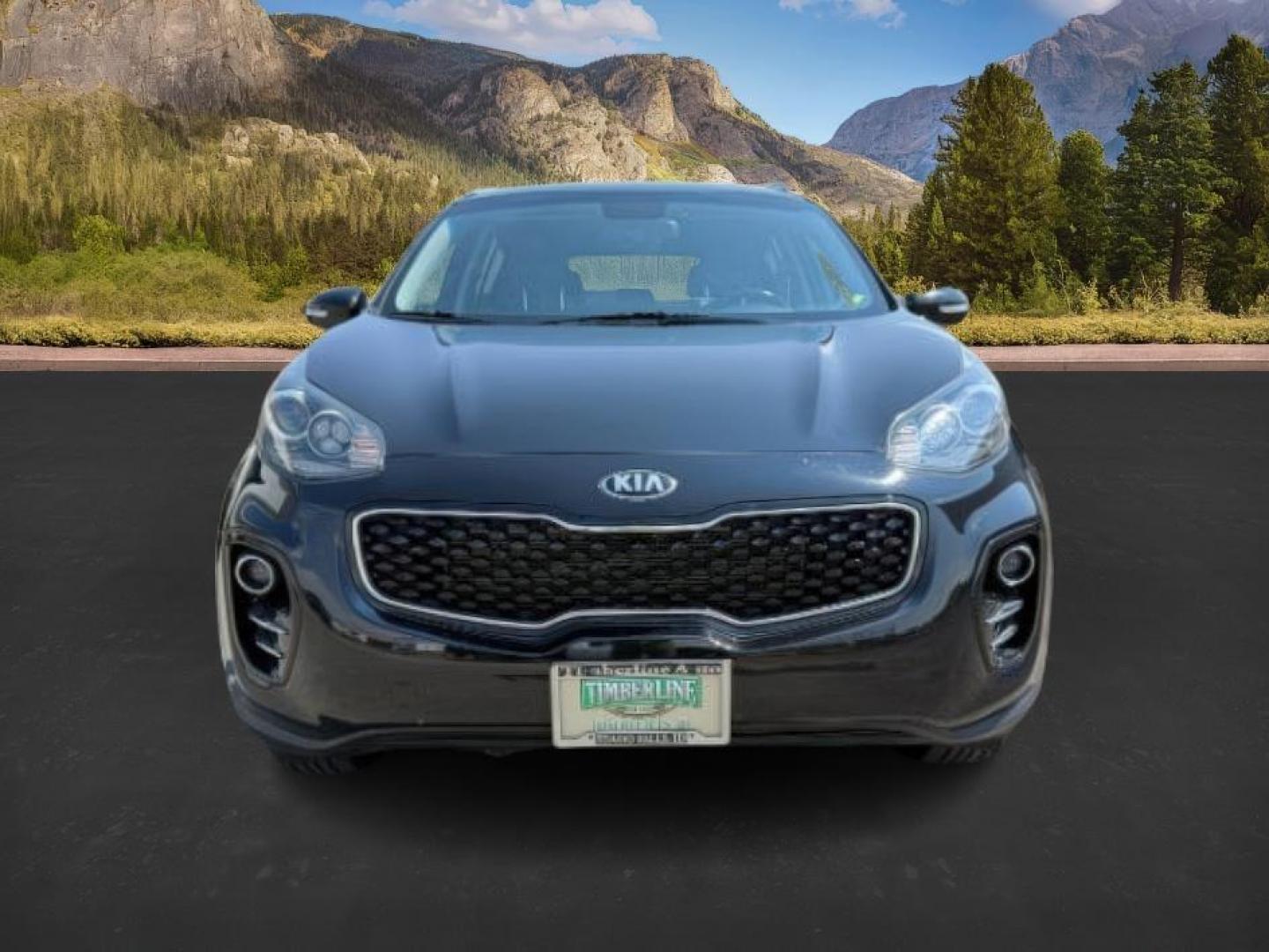 2019 BLACK /Black KIA Sportage (KNDPNCAC0K7) with an Theta II 24L I-4 gasoline direct injection engine, Automatic transmission, located at 1175 N Woodruff Ave, Idaho Falls, ID, 83401, 43.506901, -111.999657 - At Timberline Auto, finding a great deal on your next vehicle is always easy! Our experienced sales staff's goal is to help find you the right vehicle at the right price! Our knowledgeable finance department has options for almost any credit score. We offer extended service contract options to prote - Photo#9