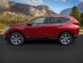 2017 Basque Red Pearl II /Ivory Honda CR-V (5J6RW2H83HL) with an 15L I-4 gasoline direct injection engine, Automatic transmission, located at 1175 N Woodruff Ave, Idaho Falls, ID, 83401, 43.506901, -111.999657 - At Timberline Auto, finding a great deal on your next vehicle is always easy! Our experienced sales staff's goal is to help find you the right vehicle at the right price! Our knowledgeable finance department has options for almost any credit score. We offer extended service contract options to prote - Photo#1