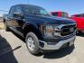 2023 BLUE /BLACK Ford F-150 (1FTFW1E53PK) with an 50L engine, Automatic transmission, located at 1175 N Woodruff Ave, Idaho Falls, ID, 83401, 43.506901, -111.999657 - At Timberline Auto, finding a great deal on your next vehicle is always easy! Our experienced sales staff's goal is to help find you the right vehicle at the right price! Our knowledgeable finance department has options for almost any credit score. We offer extended service contract options to prote - Photo#1