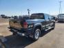 2002 Onyx Black /Graphite Chevrolet Silverado 2500HD (1GCHK23162F) with an Duramax 66L V-8 diesel direct injection engine, Automatic transmission, located at 1175 N Woodruff Ave, Idaho Falls, ID, 83401, 43.506901, -111.999657 - At Timberline Auto, finding a great deal on your next vehicle is always easy! Our experienced sales staff's goal is to help find you the right vehicle at the right price! Our knowledgeable finance department has options for almost any credit score. We offer extended service contract options to prote - Photo#10