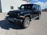 2019 BLACK /CLOTH Jeep Wrangler Unlimited (1C4HJXEN6KW) with an 20 TURBO engine, Automatic transmission, located at 1175 N Woodruff Ave, Idaho Falls, ID, 83401, 43.506901, -111.999657 - At Timberline Auto, finding a great deal on your next vehicle is always easy! Our experienced sales staff's goal is to help find you the right vehicle at the right price! Our knowledgeable finance department has options for almost any credit score. We offer extended service contract options to prote - Photo#1