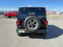 2019 BLACK /CLOTH Jeep Wrangler Unlimited (1C4HJXEN6KW) with an 20 TURBO engine, Automatic transmission, located at 1175 N Woodruff Ave, Idaho Falls, ID, 83401, 43.506901, -111.999657 - At Timberline Auto, finding a great deal on your next vehicle is always easy! Our experienced sales staff's goal is to help find you the right vehicle at the right price! Our knowledgeable finance department has options for almost any credit score. We offer extended service contract options to prote - Photo#4