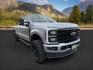 2024 SILVER /Black Onyx Ford F-350 (1FT8W3BM3RE) with an Powerstroke 67L V-8 diesel direct injection engine, Automatic transmission, located at 1175 N Woodruff Ave, Idaho Falls, ID, 83401, 43.506901, -111.999657 - At Timberline Auto, finding a great deal on your next vehicle is always easy! Our experienced sales staff's goal is to help find you the right vehicle at the right price! Our knowledgeable finance department has options for almost any credit score. We offer extended service contract options to prote - Photo#7