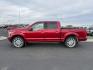 2019 Ruby Red Metallic Tinted Clearcoat /Camelback Ford F-150 (1FTEW1EG7KF) with an EcoBoost 35L V-6 portdirect injection engine, Automatic transmission, located at 1175 N Woodruff Ave, Idaho Falls, ID, 83401, 43.506901, -111.999657 - At Timberline Auto, finding a great deal on your next vehicle is always easy! Our experienced sales staff's goal is to help find you the right vehicle at the right price! Our knowledgeable finance department has options for almost any credit score. We offer extended service contract options to prote - Photo#1