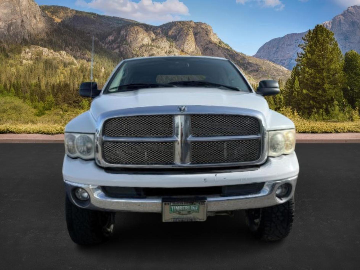 2003 WHITE /Dark Slate Gray Dodge Ram 3500 (3D7LU38653G) with an Cummins 59L I-6 diesel direct injection engine, Automatic transmission, located at 1175 N Woodruff Ave, Idaho Falls, ID, 83401, 43.506901, -111.999657 - At Timberline Auto, finding a great deal on your next vehicle is always easy! Our experienced sales staff's goal is to help find you the right vehicle at the right price! Our knowledgeable finance department has options for almost any credit score. We offer extended service contract options to prote - Photo#8