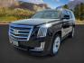2016 Black Raven /Jet Black w/Jet Black Accents Cadillac Escalade (1GYS4DKJXGR) with an EcoTec3 62L V-8 gasoline direct injection engine, Automatic transmission, located at 1175 N Woodruff Ave, Idaho Falls, ID, 83401, 43.506901, -111.999657 - At Timberline Auto, finding a great deal on your next vehicle is always easy! Our experienced sales staff's goal is to help find you the right vehicle at the right price! Our knowledgeable finance department has options for almost any credit score. We offer extended service contract options to prote - Photo#0