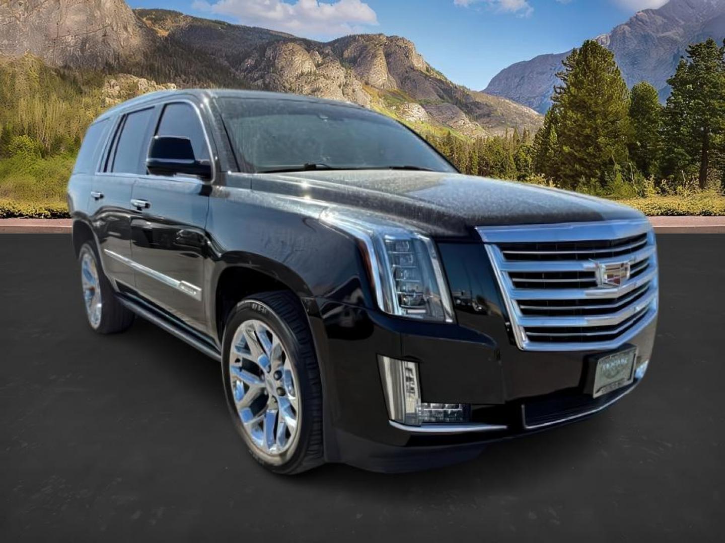 2016 Black Raven /Jet Black w/Jet Black Accents Cadillac Escalade (1GYS4DKJXGR) with an EcoTec3 62L V-8 gasoline direct injection engine, Automatic transmission, located at 1175 N Woodruff Ave, Idaho Falls, ID, 83401, 43.506901, -111.999657 - At Timberline Auto, finding a great deal on your next vehicle is always easy! Our experienced sales staff's goal is to help find you the right vehicle at the right price! Our knowledgeable finance department has options for almost any credit score. We offer extended service contract options to prote - Photo#8