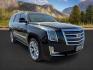 2016 Black Raven /Jet Black w/Jet Black Accents Cadillac Escalade (1GYS4DKJXGR) with an EcoTec3 62L V-8 gasoline direct injection engine, Automatic transmission, located at 1175 N Woodruff Ave, Idaho Falls, ID, 83401, 43.506901, -111.999657 - At Timberline Auto, finding a great deal on your next vehicle is always easy! Our experienced sales staff's goal is to help find you the right vehicle at the right price! Our knowledgeable finance department has options for almost any credit score. We offer extended service contract options to prote - Photo#8