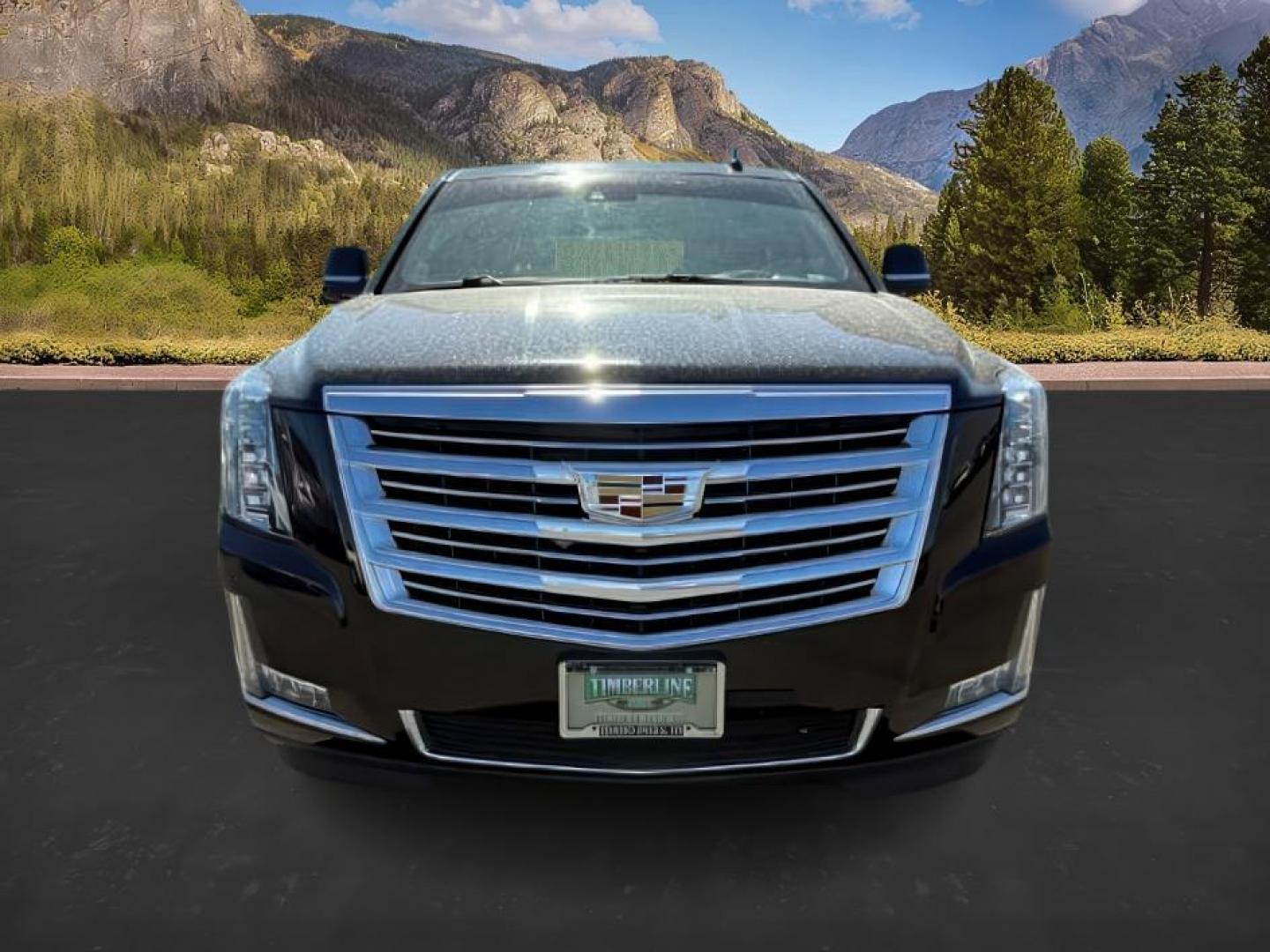 2016 Black Raven /Jet Black w/Jet Black Accents Cadillac Escalade (1GYS4DKJXGR) with an EcoTec3 62L V-8 gasoline direct injection engine, Automatic transmission, located at 1175 N Woodruff Ave, Idaho Falls, ID, 83401, 43.506901, -111.999657 - At Timberline Auto, finding a great deal on your next vehicle is always easy! Our experienced sales staff's goal is to help find you the right vehicle at the right price! Our knowledgeable finance department has options for almost any credit score. We offer extended service contract options to prote - Photo#9