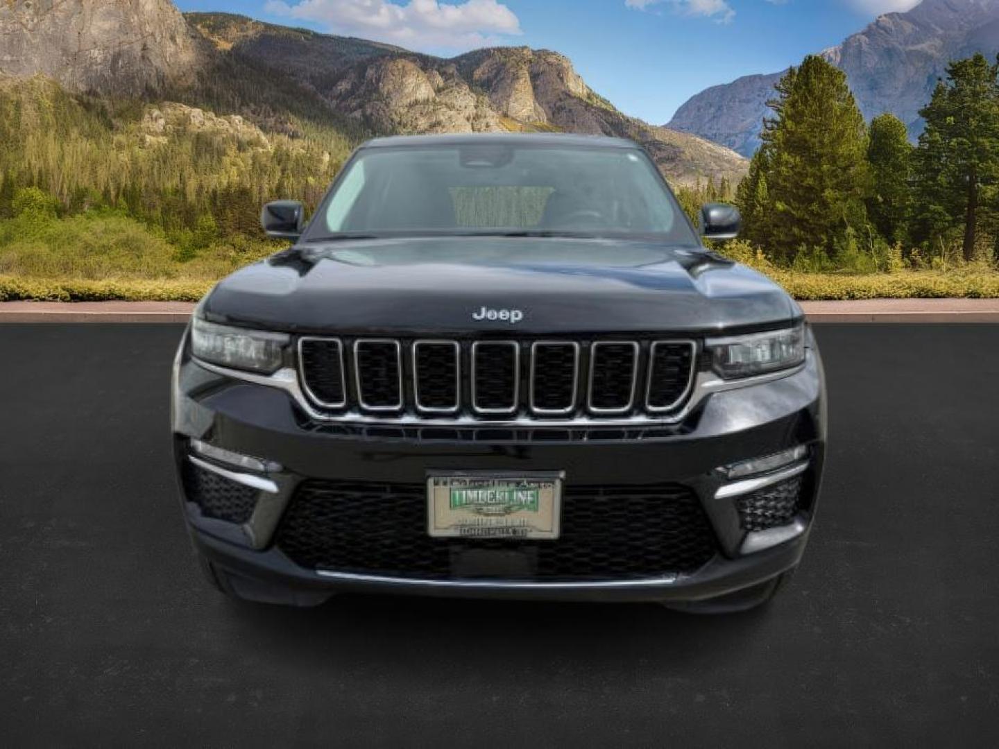 2022 BLACK /Global Black Jeep Grand Cherokee 4xe (1C4RJYB63N8) with an 2L I-4 HYBRID engine, Automatic transmission, located at 1175 N Woodruff Ave, Idaho Falls, ID, 83401, 43.506901, -111.999657 - At Timberline Auto, finding a great deal on your next vehicle is always easy! Our experienced sales staff's goal is to help find you the right vehicle at the right price! Our knowledgeable finance department has options for almost any credit score. We offer extended service contract options to prote - Photo#10