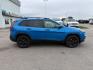 2017 Hydro Blue Pearlcoat /Black Jeep Cherokee Altitude 4x4 (1C4PJMAB4HW) with an Tigershark MultiAir 2.4L I-4 variable valve contro engine, AUTOMATIC transmission, located at 1235 N Woodruff Ave., Idaho Falls, 83401, (208) 523-1053, 43.507172, -112.000488 - At Timberline Auto, finding a great deal on your next vehicle is always easy! Our experienced sales staff's goal is to help find you the right vehicle at the right price! Our knowledgeable finance department has options for almost any credit score. We offer extended service contract options to prote - Photo#7