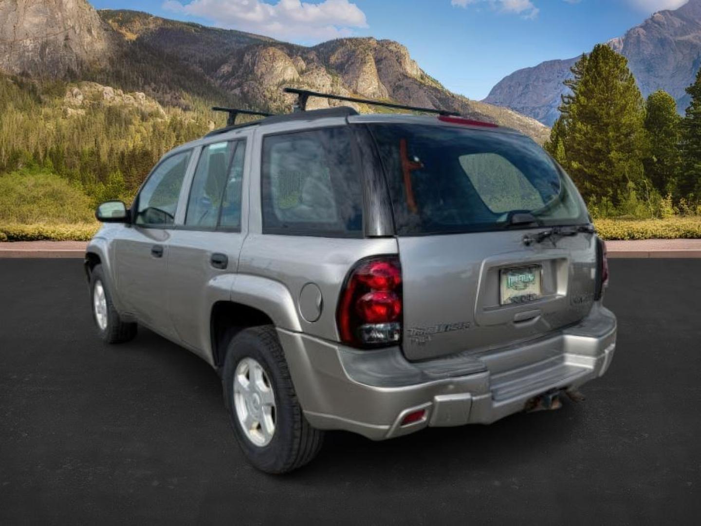2003 GOLD /Medium Pewter Chevrolet TrailBlazer (1GNDT13S432) with an Vortec 42L I-6 DOHC engine, Automatic transmission, located at 1175 N Woodruff Ave, Idaho Falls, ID, 83401, 43.506901, -111.999657 - At Timberline Auto, finding a great deal on your next vehicle is always easy! Our experienced sales staff's goal is to help find you the right vehicle at the right price! Our knowledgeable finance department has options for almost any credit score. We offer extended service contract options to prote - Photo#2