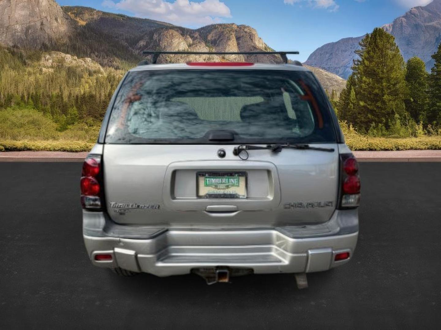 2003 GOLD /Medium Pewter Chevrolet TrailBlazer (1GNDT13S432) with an Vortec 42L I-6 DOHC engine, Automatic transmission, located at 1175 N Woodruff Ave, Idaho Falls, ID, 83401, 43.506901, -111.999657 - At Timberline Auto, finding a great deal on your next vehicle is always easy! Our experienced sales staff's goal is to help find you the right vehicle at the right price! Our knowledgeable finance department has options for almost any credit score. We offer extended service contract options to prote - Photo#3