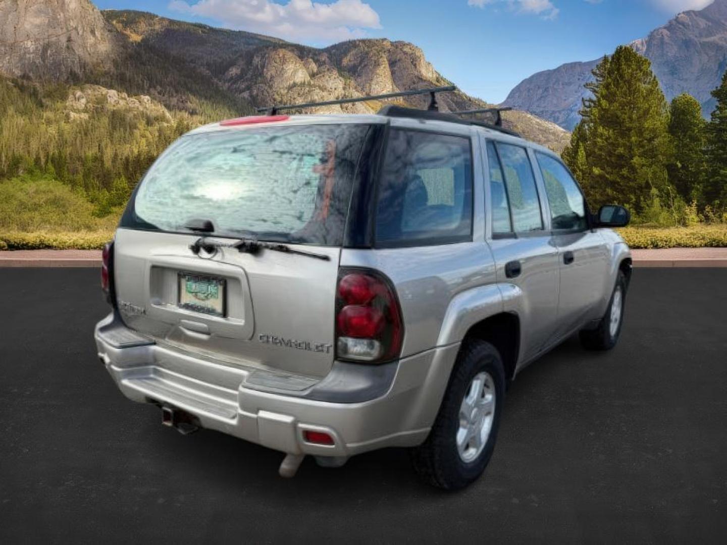 2003 GOLD /Medium Pewter Chevrolet TrailBlazer (1GNDT13S432) with an Vortec 42L I-6 DOHC engine, Automatic transmission, located at 1175 N Woodruff Ave, Idaho Falls, ID, 83401, 43.506901, -111.999657 - At Timberline Auto, finding a great deal on your next vehicle is always easy! Our experienced sales staff's goal is to help find you the right vehicle at the right price! Our knowledgeable finance department has options for almost any credit score. We offer extended service contract options to prote - Photo#4