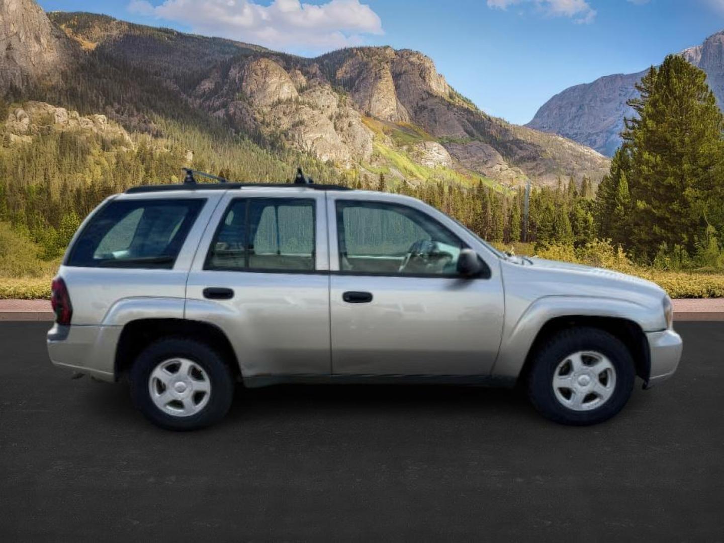 2003 GOLD /Medium Pewter Chevrolet TrailBlazer (1GNDT13S432) with an Vortec 42L I-6 DOHC engine, Automatic transmission, located at 1175 N Woodruff Ave, Idaho Falls, ID, 83401, 43.506901, -111.999657 - At Timberline Auto, finding a great deal on your next vehicle is always easy! Our experienced sales staff's goal is to help find you the right vehicle at the right price! Our knowledgeable finance department has options for almost any credit score. We offer extended service contract options to prote - Photo#5