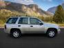 2003 GOLD /Medium Pewter Chevrolet TrailBlazer (1GNDT13S432) with an Vortec 42L I-6 DOHC engine, Automatic transmission, located at 1175 N Woodruff Ave, Idaho Falls, ID, 83401, 43.506901, -111.999657 - At Timberline Auto, finding a great deal on your next vehicle is always easy! Our experienced sales staff's goal is to help find you the right vehicle at the right price! Our knowledgeable finance department has options for almost any credit score. We offer extended service contract options to prote - Photo#5