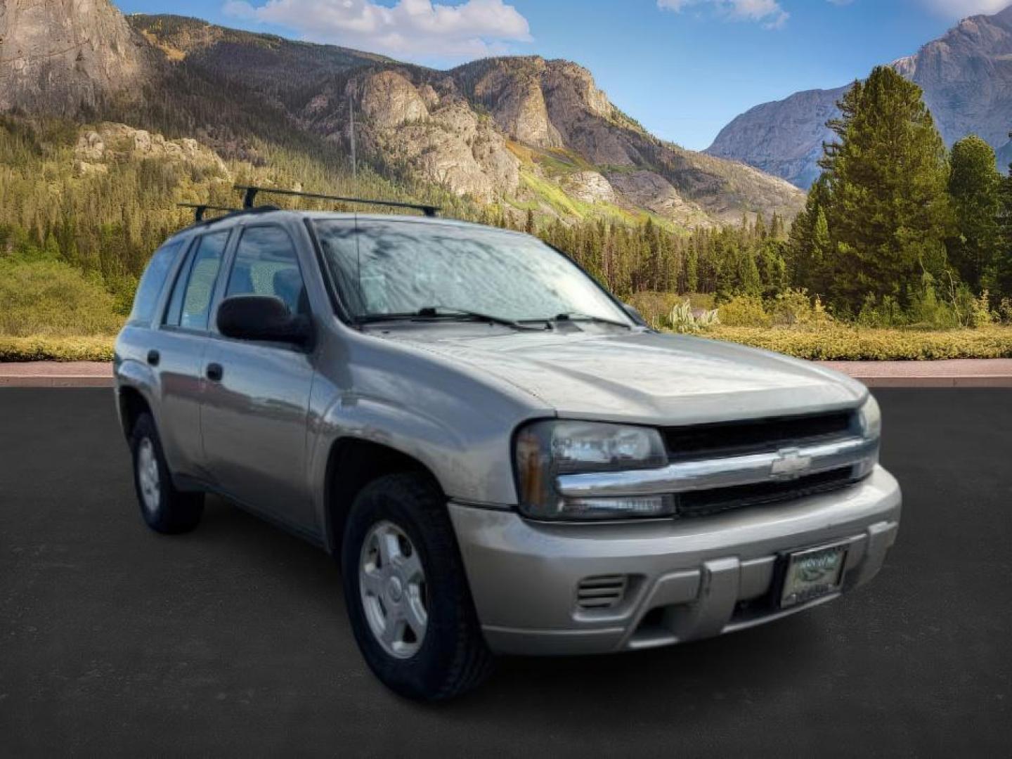 2003 GOLD /Medium Pewter Chevrolet TrailBlazer (1GNDT13S432) with an Vortec 42L I-6 DOHC engine, Automatic transmission, located at 1175 N Woodruff Ave, Idaho Falls, ID, 83401, 43.506901, -111.999657 - At Timberline Auto, finding a great deal on your next vehicle is always easy! Our experienced sales staff's goal is to help find you the right vehicle at the right price! Our knowledgeable finance department has options for almost any credit score. We offer extended service contract options to prote - Photo#6