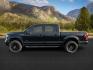 2017 Shadow Black /Black Ford F-150 (1FTEW1EG9HK) with an EcoBoost 35L V-6 gasoline direct injection engine, Automatic transmission, located at 1175 N Woodruff Ave, Idaho Falls, ID, 83401, 43.506901, -111.999657 - At Timberline Auto, finding a great deal on your next vehicle is always easy! Our experienced sales staff's goal is to help find you the right vehicle at the right price! Our knowledgeable finance department has options for almost any credit score. We offer extended service contract options to prote - Photo#0
