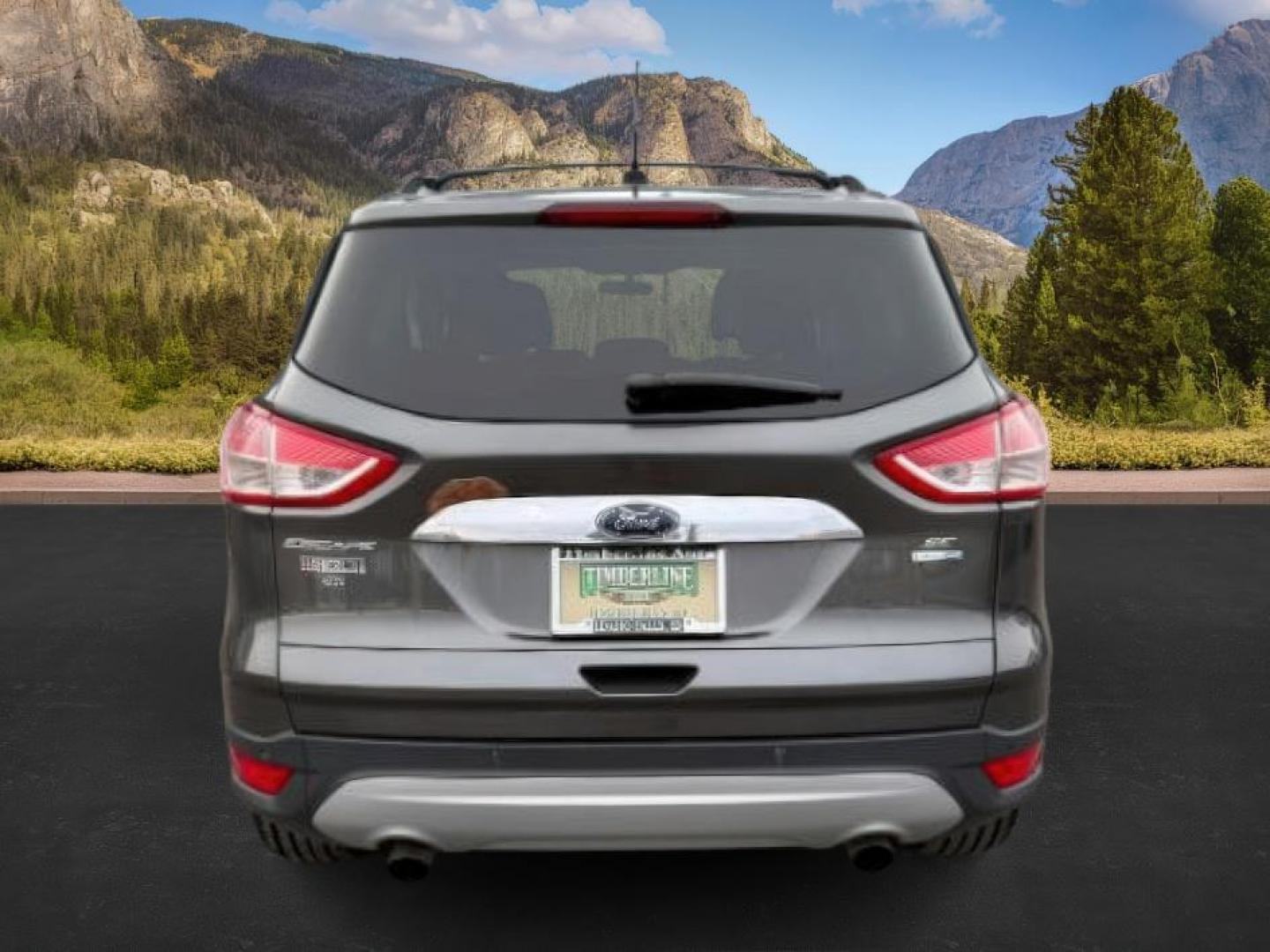 2015 GRAY /Charcoal Black Ford Escape (1FMCU9G91FU) with an EcoBoost 2L I-4 gasoline direct injection engine, Automatic transmission, located at 1175 N Woodruff Ave, Idaho Falls, ID, 83401, 43.506901, -111.999657 - At Timberline Auto, finding a great deal on your next vehicle is always easy! Our experienced sales staff's goal is to help find you the right vehicle at the right price! Our knowledgeable finance department has options for almost any credit score. We offer extended service contract options to prote - Photo#3