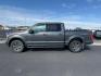2016 GRAY /Medium Earth Gray Ford F-150 (1FTEW1EG1GK) with an EcoBoost 35L V-6 gasoline direct injection engine, Automatic transmission, located at 1175 N Woodruff Ave, Idaho Falls, ID, 83401, 43.506901, -111.999657 - At Timberline Auto, finding a great deal on your next vehicle is always easy! Our experienced sales staff's goal is to help find you the right vehicle at the right price! Our knowledgeable finance department has options for almost any credit score. We offer extended service contract options to prote - Photo#1
