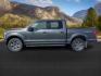 2016 GRAY /Medium Earth Gray Ford F-150 (1FTEW1EG1GK) with an EcoBoost 35L V-6 gasoline direct injection engine, Automatic transmission, located at 1175 N Woodruff Ave, Idaho Falls, ID, 83401, 43.506901, -111.999657 - At Timberline Auto, finding a great deal on your next vehicle is always easy! Our experienced sales staff's goal is to help find you the right vehicle at the right price! Our knowledgeable finance department has options for almost any credit score. We offer extended service contract options to prote - Photo#0
