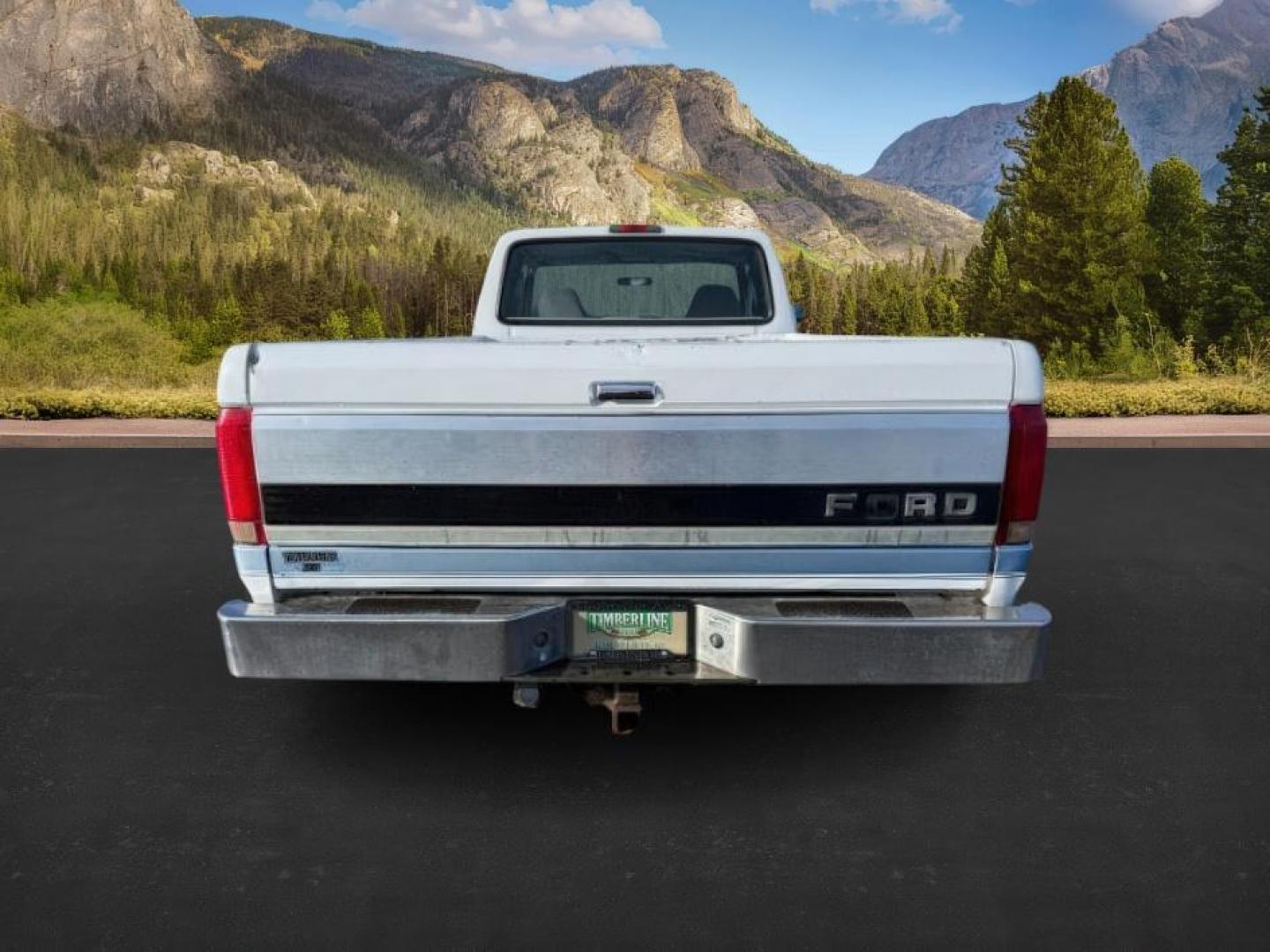 1996 WHITE/BLUE /CLOTH Ford F-250 (1FTHX26G6TE) with an 75L engine, Manual transmission, located at 1175 N Woodruff Ave, Idaho Falls, ID, 83401, 43.506901, -111.999657 - At Timberline Auto, finding a great deal on your next vehicle is always easy! Our experienced sales staff's goal is to help find you the right vehicle at the right price! Our knowledgeable finance department has options for almost any credit score. We offer extended service contract options to prote - Photo#3