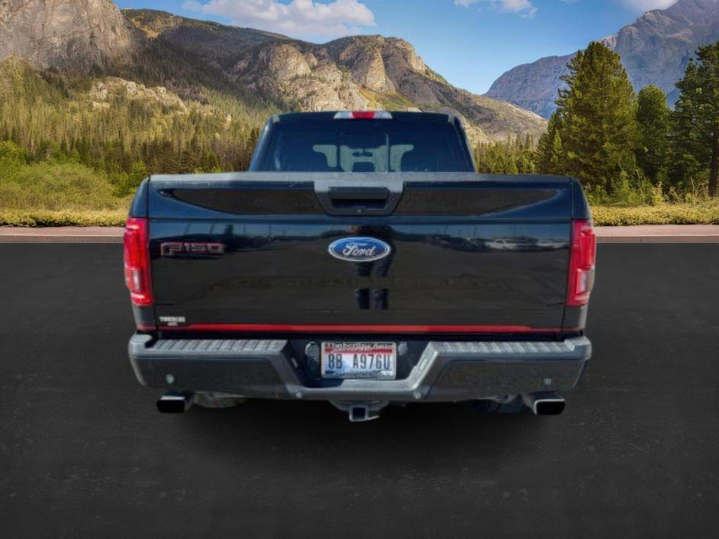 2016 Shadow Black /Black Ford F-150 (1FTFW1EG9GF) with an EcoBoost 35L V-6 gasoline direct injection engine, Automatic transmission, located at 1175 N Woodruff Ave, Idaho Falls, ID, 83401, 43.506901, -111.999657 - At Timberline Auto, finding a great deal on your next vehicle is always easy! Our experienced sales staff's goal is to help find you the right vehicle at the right price! Our knowledgeable finance department has options for almost any credit score. We offer extended service contract options to prote - Photo#3