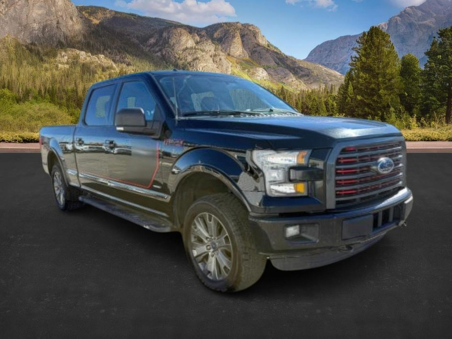 2016 Shadow Black /Black Ford F-150 (1FTFW1EG9GF) with an EcoBoost 35L V-6 gasoline direct injection engine, Automatic transmission, located at 1175 N Woodruff Ave, Idaho Falls, ID, 83401, 43.506901, -111.999657 - At Timberline Auto, finding a great deal on your next vehicle is always easy! Our experienced sales staff's goal is to help find you the right vehicle at the right price! Our knowledgeable finance department has options for almost any credit score. We offer extended service contract options to prote - Photo#8