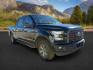 2016 Shadow Black /Black Ford F-150 (1FTFW1EG9GF) with an EcoBoost 35L V-6 gasoline direct injection engine, Automatic transmission, located at 1175 N Woodruff Ave, Idaho Falls, ID, 83401, 43.506901, -111.999657 - At Timberline Auto, finding a great deal on your next vehicle is always easy! Our experienced sales staff's goal is to help find you the right vehicle at the right price! Our knowledgeable finance department has options for almost any credit score. We offer extended service contract options to prote - Photo#8