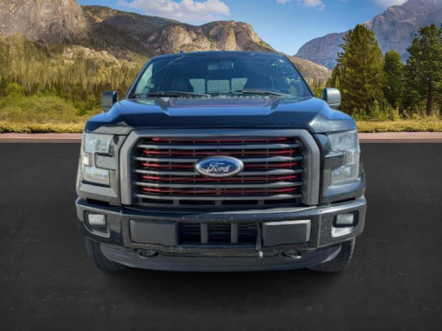 2016 Shadow Black /Black Ford F-150 (1FTFW1EG9GF) with an EcoBoost 35L V-6 gasoline direct injection engine, Automatic transmission, located at 1175 N Woodruff Ave, Idaho Falls, ID, 83401, 43.506901, -111.999657 - At Timberline Auto, finding a great deal on your next vehicle is always easy! Our experienced sales staff's goal is to help find you the right vehicle at the right price! Our knowledgeable finance department has options for almost any credit score. We offer extended service contract options to prote - Photo#9