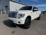 2013 WHITE /LIMITED Ford F-150 LIMITED (1FTFW1ET7DF) with an 3.5L V6 engine, AUTOMATIC transmission, located at 1235 N Woodruff Ave., Idaho Falls, 83401, (208) 523-1053, 43.507172, -112.000488 - At Timberline Auto, finding a great deal on your next vehicle is always easy! Our experienced sales staff's goal is to help find you the right vehicle at the right price! Our knowledgeable finance department has options for almost any credit score. We offer extended service contract options to prote - Photo#22