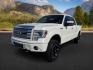 2013 WHITE /LIMITED Ford F-150 LIMITED (1FTFW1ET7DF) with an 3.5L V6 engine, AUTOMATIC transmission, located at 1235 N Woodruff Ave., Idaho Falls, 83401, (208) 523-1053, 43.507172, -112.000488 - At Timberline Auto, finding a great deal on your next vehicle is always easy! Our experienced sales staff's goal is to help find you the right vehicle at the right price! Our knowledgeable finance department has options for almost any credit score. We offer extended service contract options to prote - Photo#0
