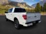 2013 WHITE /LIMITED Ford F-150 LIMITED (1FTFW1ET7DF) with an 3.5L V6 engine, AUTOMATIC transmission, located at 1235 N Woodruff Ave., Idaho Falls, 83401, (208) 523-1053, 43.507172, -112.000488 - At Timberline Auto, finding a great deal on your next vehicle is always easy! Our experienced sales staff's goal is to help find you the right vehicle at the right price! Our knowledgeable finance department has options for almost any credit score. We offer extended service contract options to prote - Photo#2