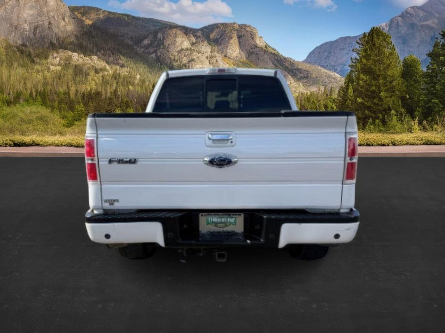 2013 WHITE /LIMITED Ford F-150 LIMITED (1FTFW1ET7DF) with an 3.5L V6 engine, AUTOMATIC transmission, located at 1235 N Woodruff Ave., Idaho Falls, 83401, (208) 523-1053, 43.507172, -112.000488 - At Timberline Auto, finding a great deal on your next vehicle is always easy! Our experienced sales staff's goal is to help find you the right vehicle at the right price! Our knowledgeable finance department has options for almost any credit score. We offer extended service contract options to prote - Photo#3