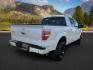 2013 WHITE /LIMITED Ford F-150 LIMITED (1FTFW1ET7DF) with an 3.5L V6 engine, AUTOMATIC transmission, located at 1235 N Woodruff Ave., Idaho Falls, 83401, (208) 523-1053, 43.507172, -112.000488 - At Timberline Auto, finding a great deal on your next vehicle is always easy! Our experienced sales staff's goal is to help find you the right vehicle at the right price! Our knowledgeable finance department has options for almost any credit score. We offer extended service contract options to prote - Photo#6